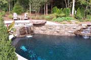 Perennial Landscape Swimming Pools
